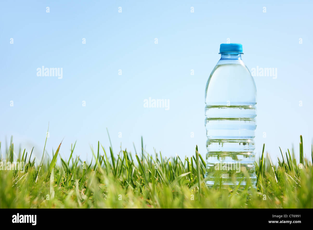 Flasche Wasser auf dem grünen Rasen mit Textfreiraum. Stockfoto
