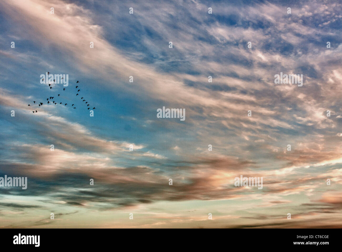 Sonnenuntergänge über Chester County PA Stockfoto