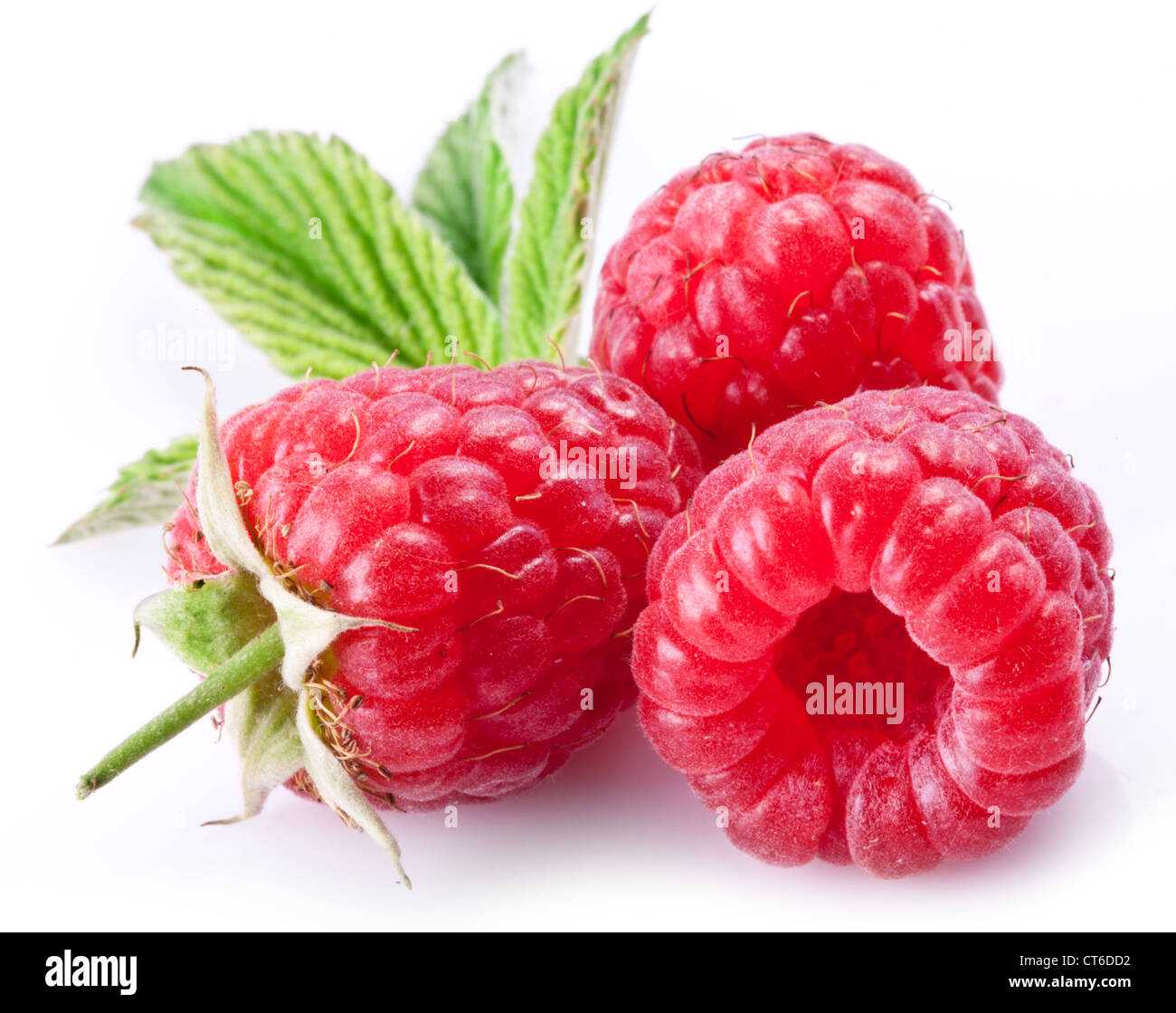 Reife Himbeeren isoliert auf einem weißen Hintergrund. Stockfoto