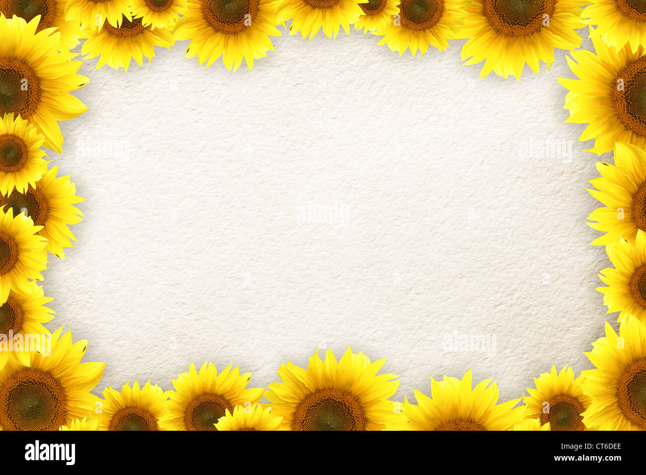 Sonnenblumen Rahmen für Ihren text Stockfoto