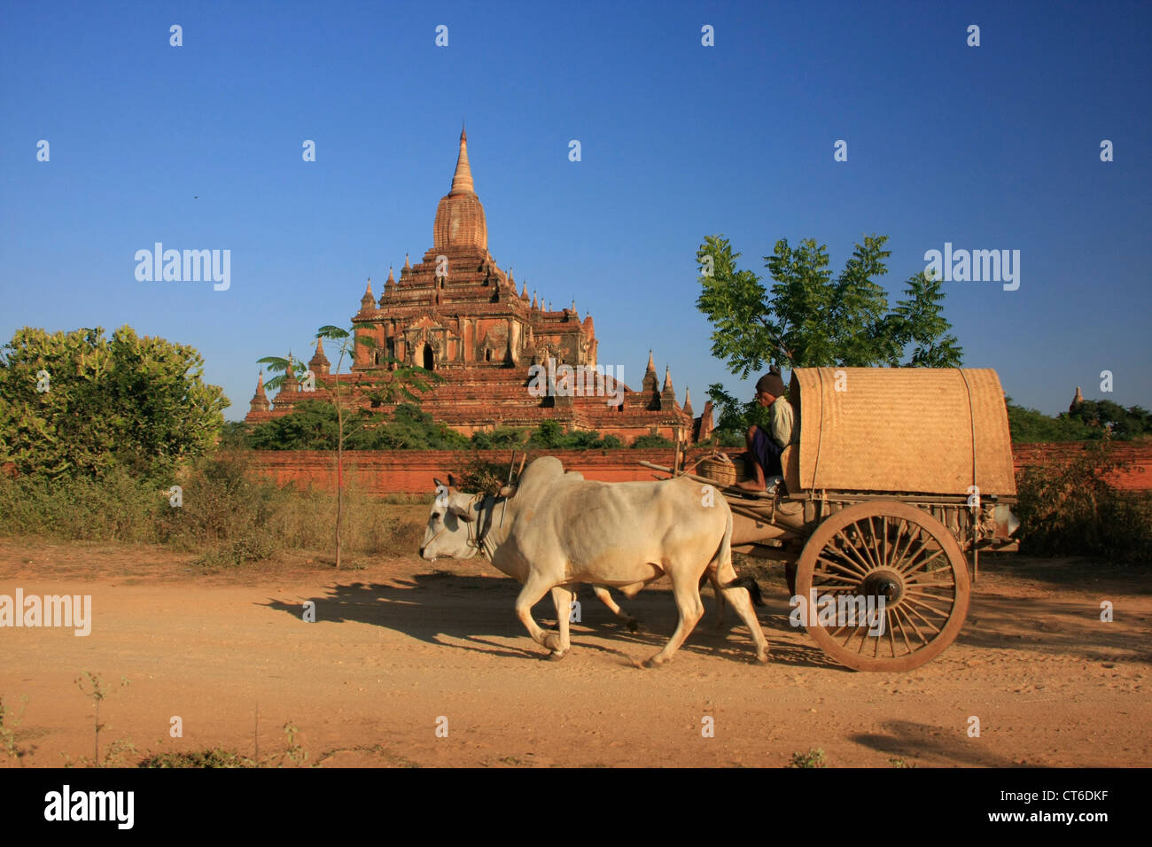 Ochsenkarren in der Nähe von Sulamani Tempel, Bagan archäologische Zone, Mandalay Region, Myanmar, Südostasien Stockfoto