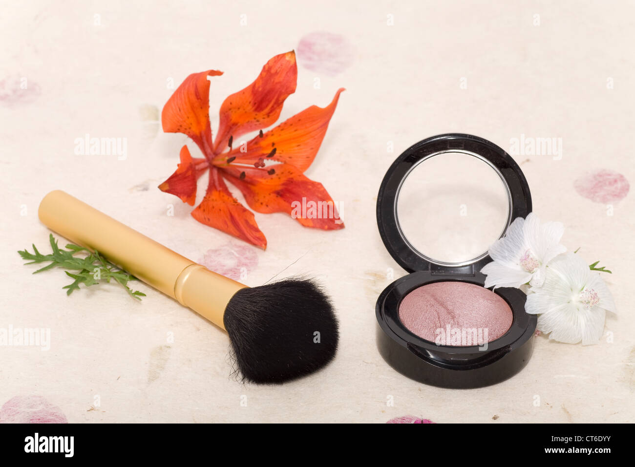 Make-up Rouge Rouge und Bürsten mit Feuerlilie Stockfoto