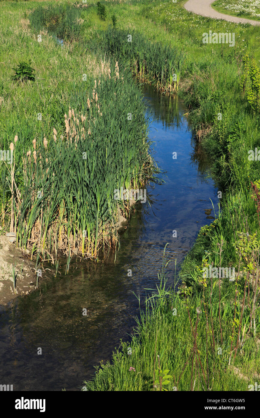 D-Dortmund, Ruhrgebiet, Westfalen, Nordrhein Westfalen, NRW, D-Dortmund-Hoerde, renaturierte Emscher, Fluss, Bach, Auenlandschaft Stockfoto