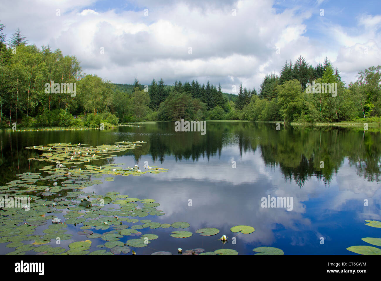 Bruntis Loch im Kirroughtree Wald in Galloway - Schottland Stockfoto