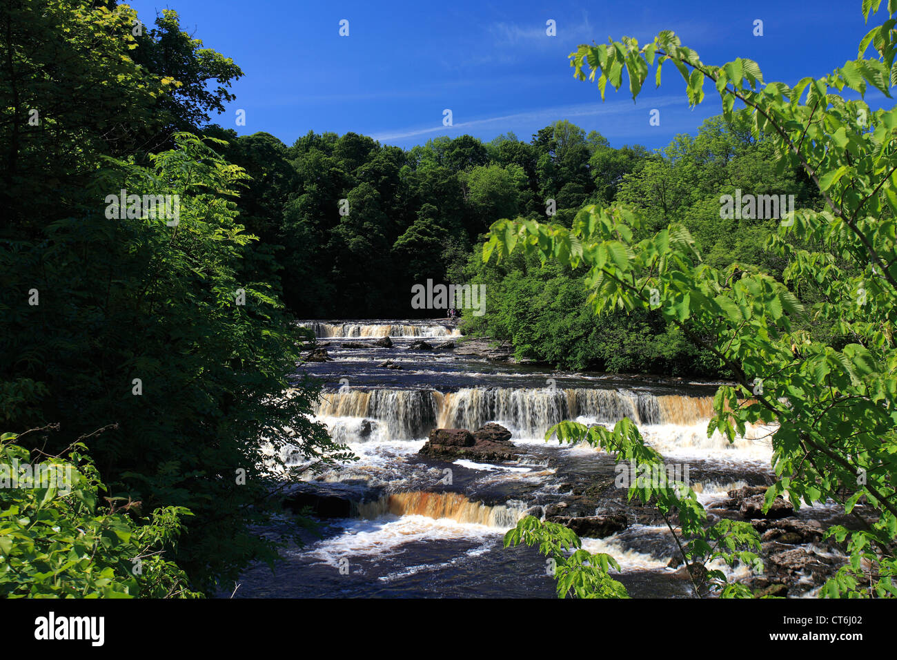 Sommer, River Ure; Aysgarth Falls; Wensleydale; Yorkshire Dales National Park, North Yorkshire, England, Vereinigtes Königreich Stockfoto