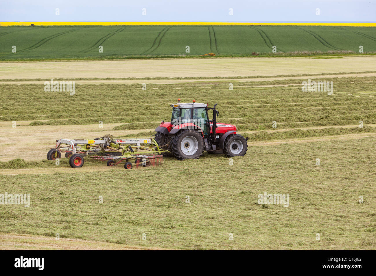 Landwirt Versammlung Silage. Grampian Schottland, Vereinigtes Königreich Stockfoto