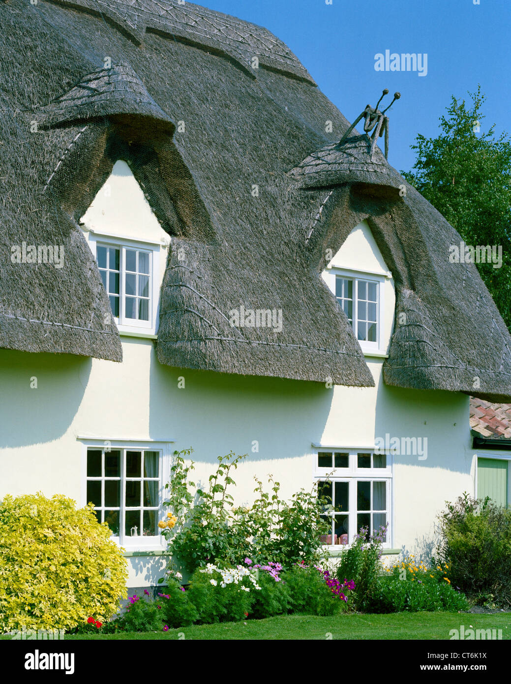 Reetdachhaus mit Millennium-Bug-Motiv auf Dach Barrington Cambs England Stockfoto