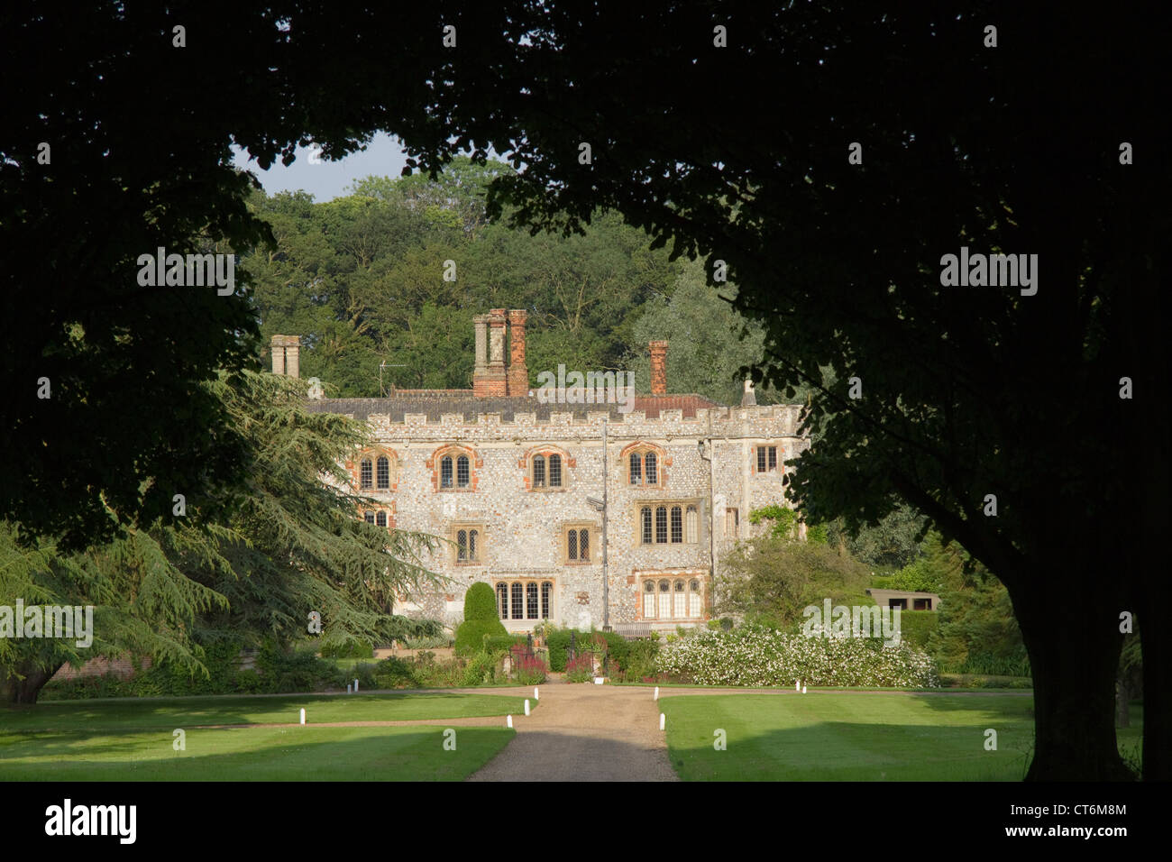 Blick durch Zeder Zweige der Mannington Hall in der Nähe von Aylsham, Norfolk, England Stockfoto