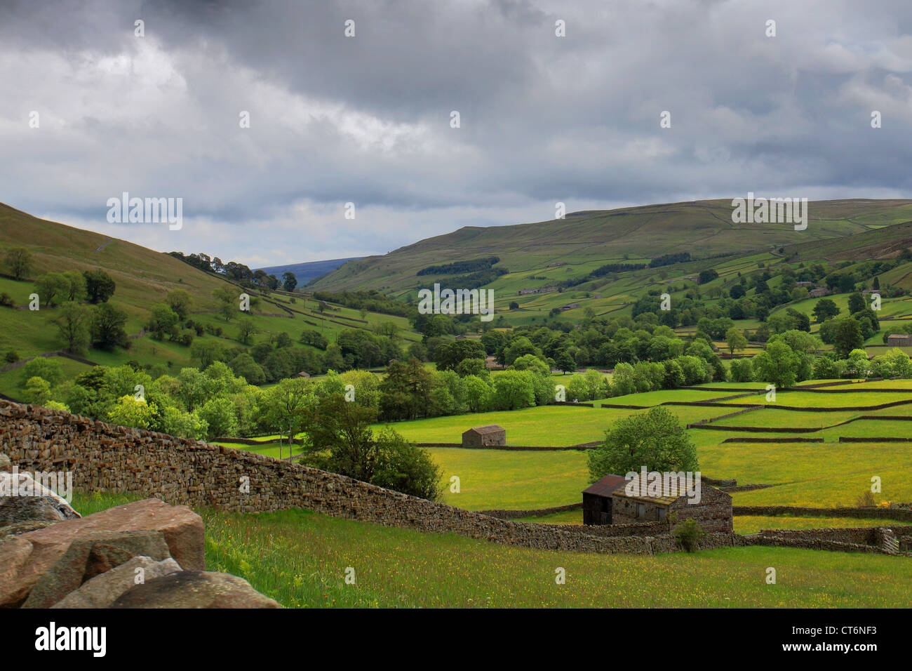 Stein Scheunen, Blumenwiesen, Muker Dorf, Swaledale; Yorkshire Dales National Park, England, Vereinigtes Königreich Stockfoto