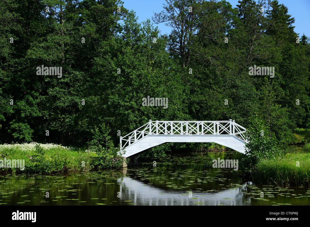 Die weiße Brücke auf einem Hintergrund von See und Bäumen Stockfoto