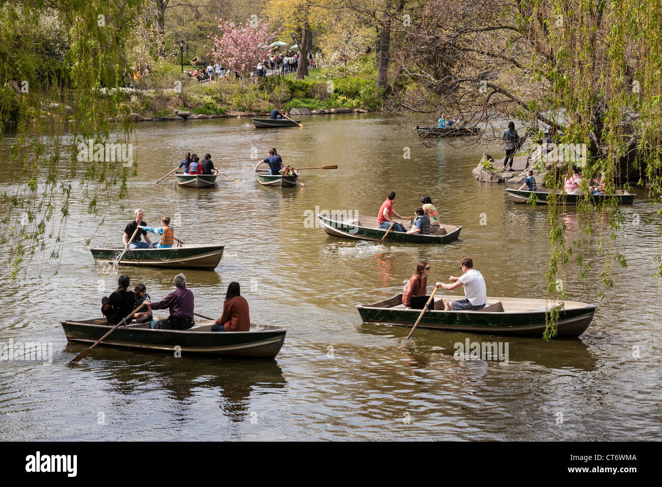 Ruderboote am See, Central Park, New York Stockfoto