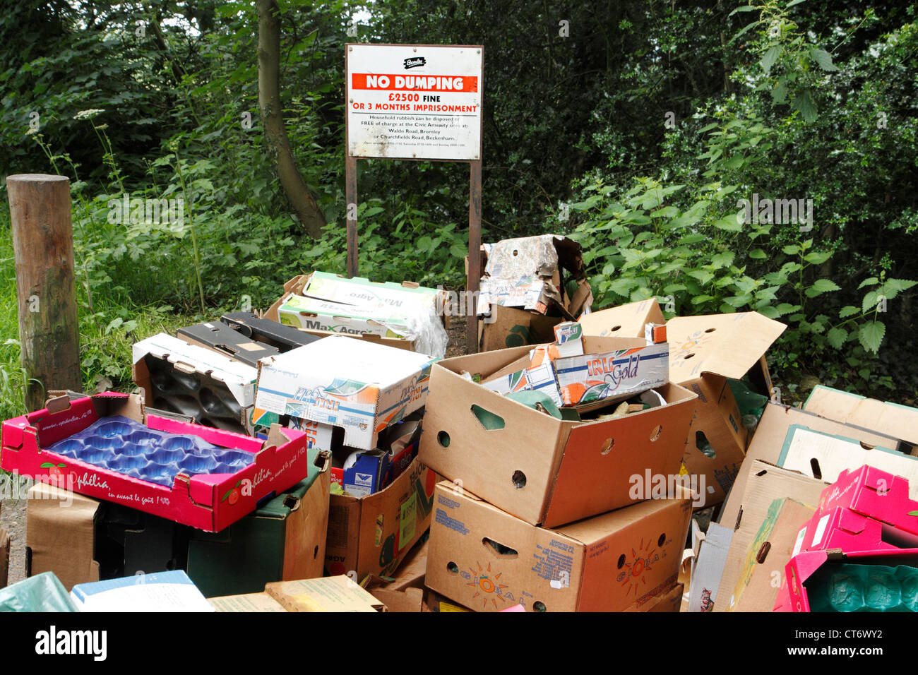 Müll-Fliege gekippt vor der Nr. Dumping Warnschild, Bromley, Kent Stockfoto