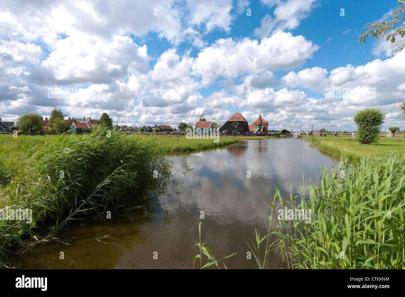 typische holländische Polderlandschaft nördlich von amsterdam Stockfoto