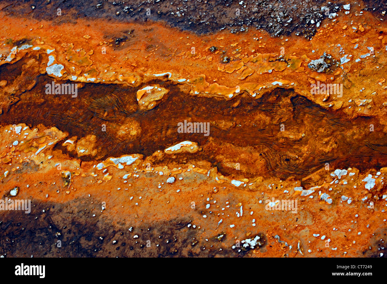 Prismatische bakterielle Matten, Upper Geyser Basin, Yellowstone-Nationalpark Stockfoto