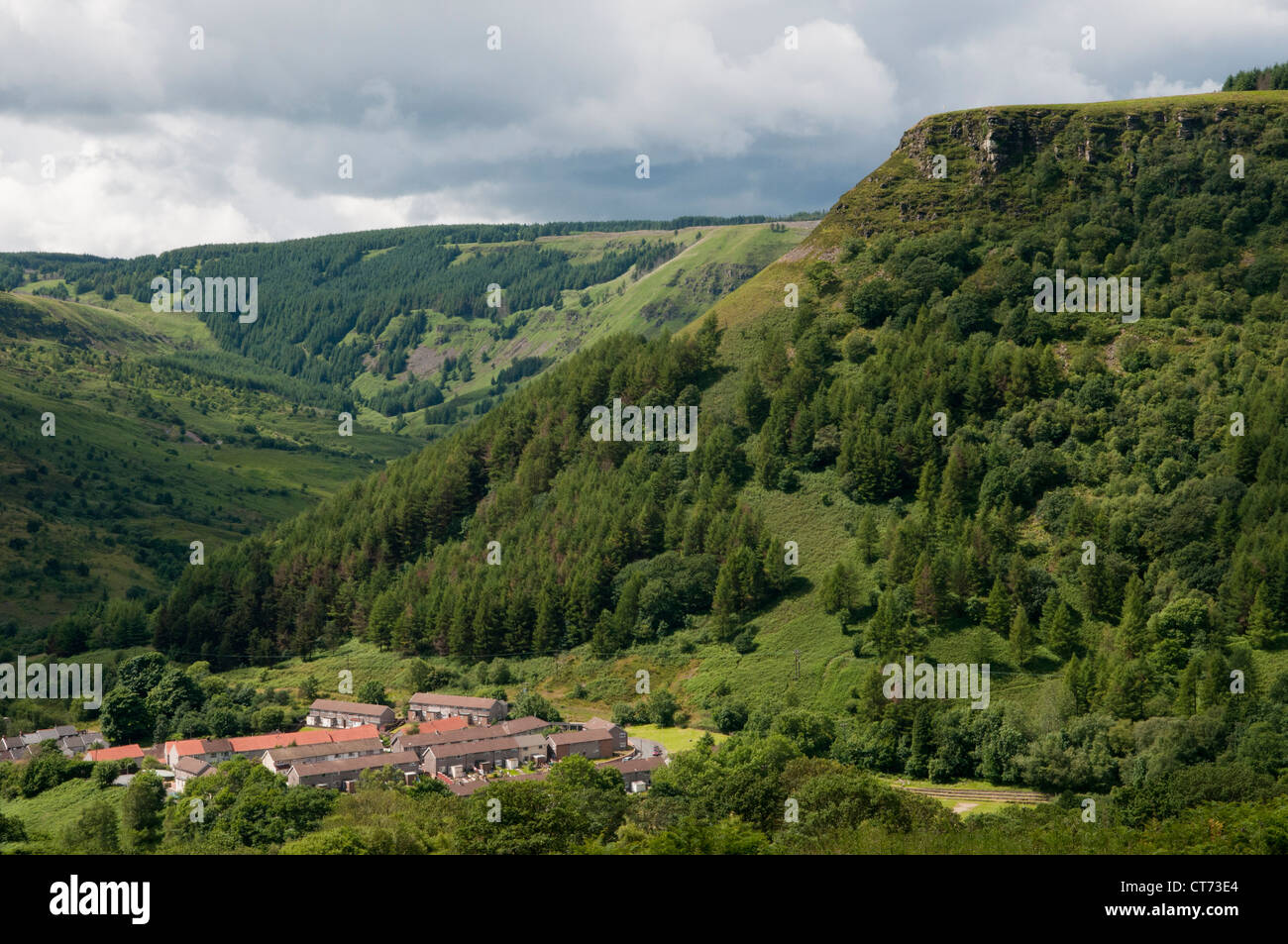 Die Hügel über dem Rhondda Tal in Süd-Wales zeigt Forst- und Wildnis Stockfoto