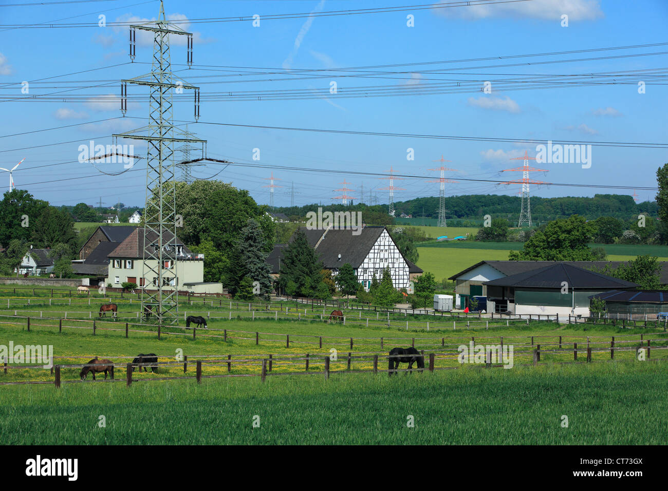 Reiterhof Und Bauernhof in Dortmund Grossholthausen, Ruhrgebiet, Nordrhein-Westfalen, Landschaft, Agrarland, Pferde Auf der Weide Stockfoto