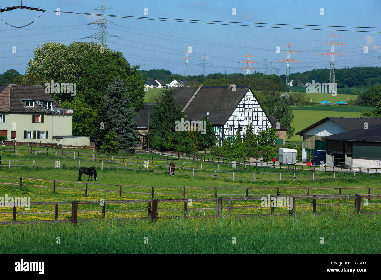 Reiterhof Und Bauernhof in Dortmund Grossholthausen, Ruhrgebiet, Nordrhein-Westfalen, Landschaft, Agrarland, Pferde Auf der Weide Stockfoto