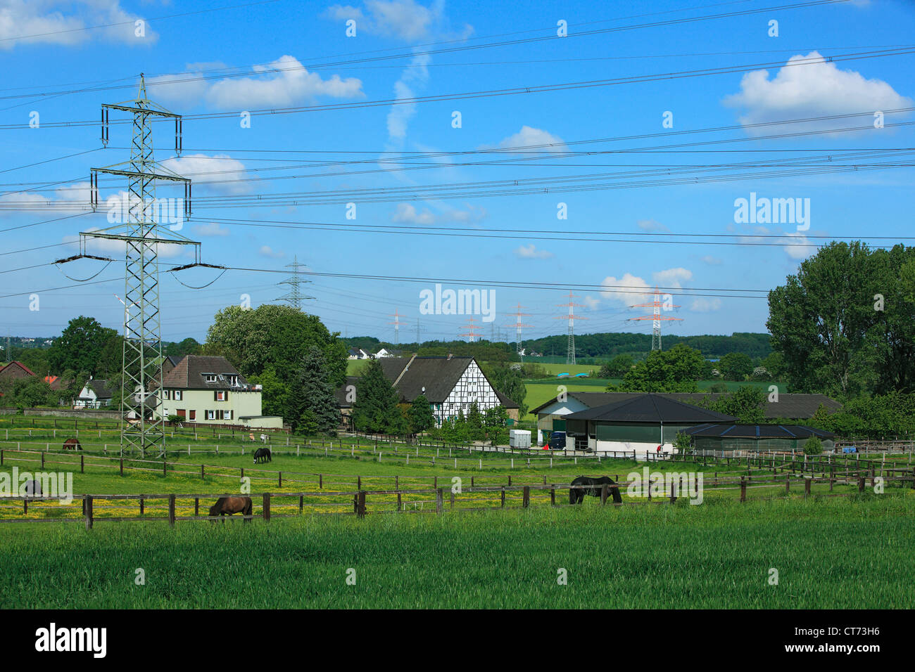 Reiterhof Und Bauernhof in Dortmund Grossholthausen, Ruhrgebiet, Nordrhein-Westfalen, Landschaft, Agrarland, Pferde Auf der Weide Stockfoto