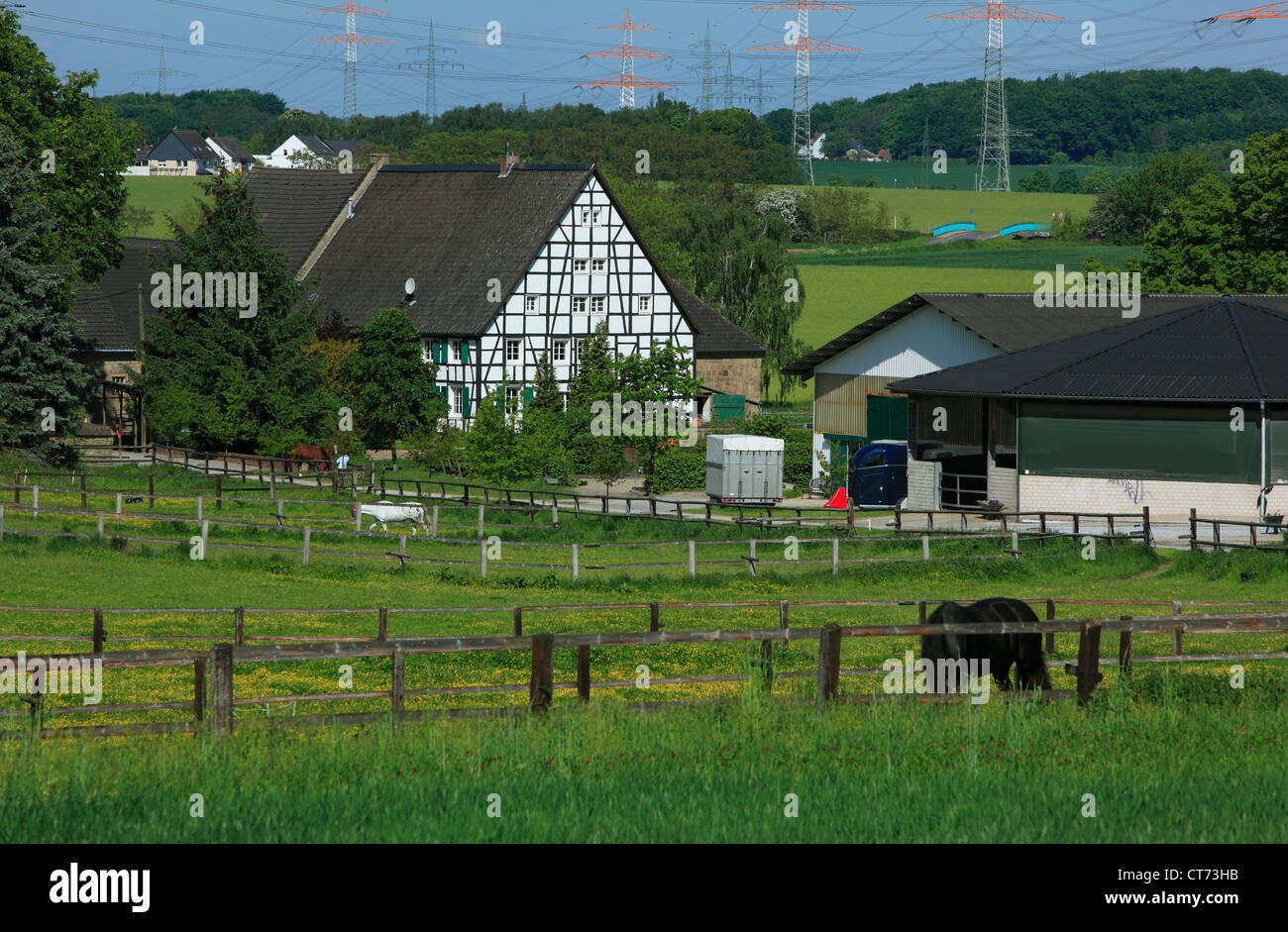 Reiterhof Und Bauernhof in Dortmund Grossholthausen, Ruhrgebiet, Nordrhein-Westfalen, Landschaft, Agrarland, Pferde Auf der Weide Stockfoto