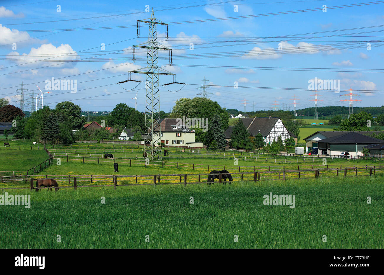 Reiterhof Und Bauernhof in Dortmund Grossholthausen, Ruhrgebiet, Nordrhein-Westfalen, Landschaft, Agrarland, Pferde Auf der Weide Stockfoto