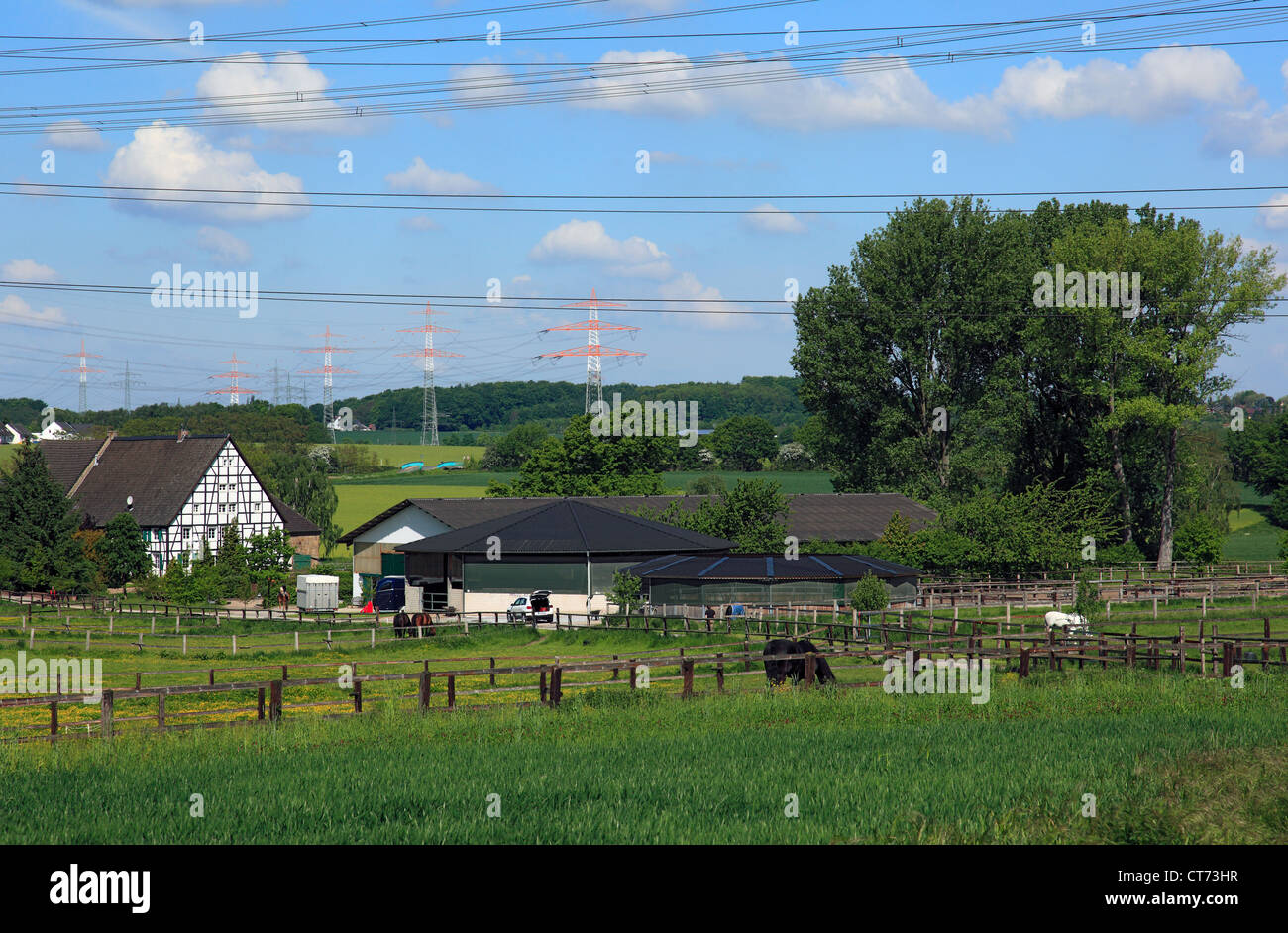 Reiterhof Und Bauernhof in Dortmund Grossholthausen, Ruhrgebiet, Nordrhein-Westfalen, Landschaft, Agrarland, Pferde Auf der Weide Stockfoto