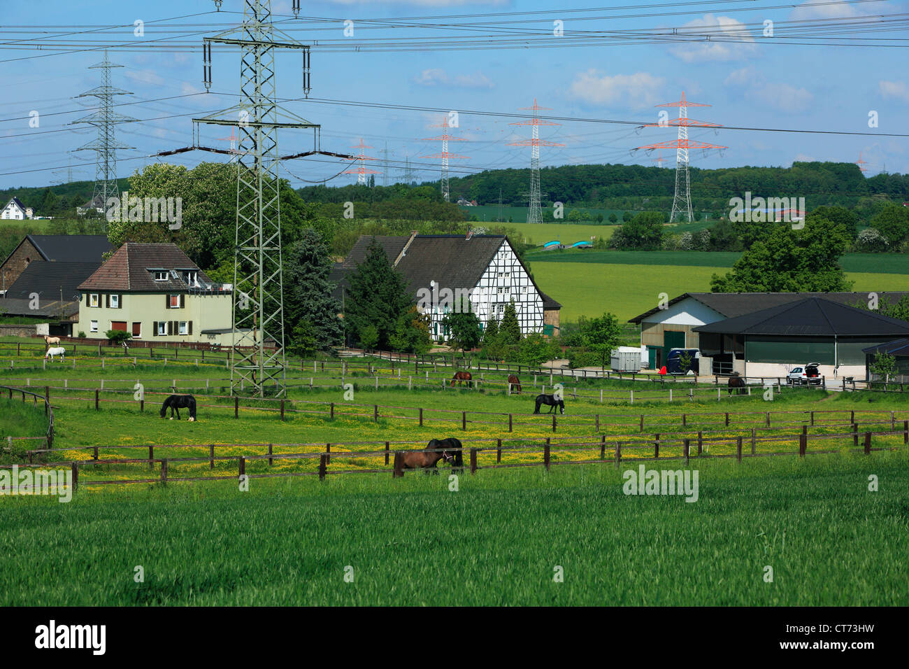 Reiterhof Und Bauernhof in Dortmund Grossholthausen, Ruhrgebiet, Nordrhein-Westfalen, Landschaft, Agrarland, Pferde Auf der Weide Stockfoto