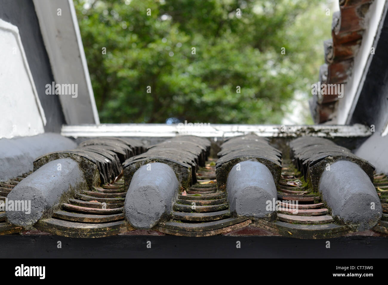 Chinesisch (traditionell) Ziegeldach in Sam Tung Uk Museum, Hong Kong Stockfoto