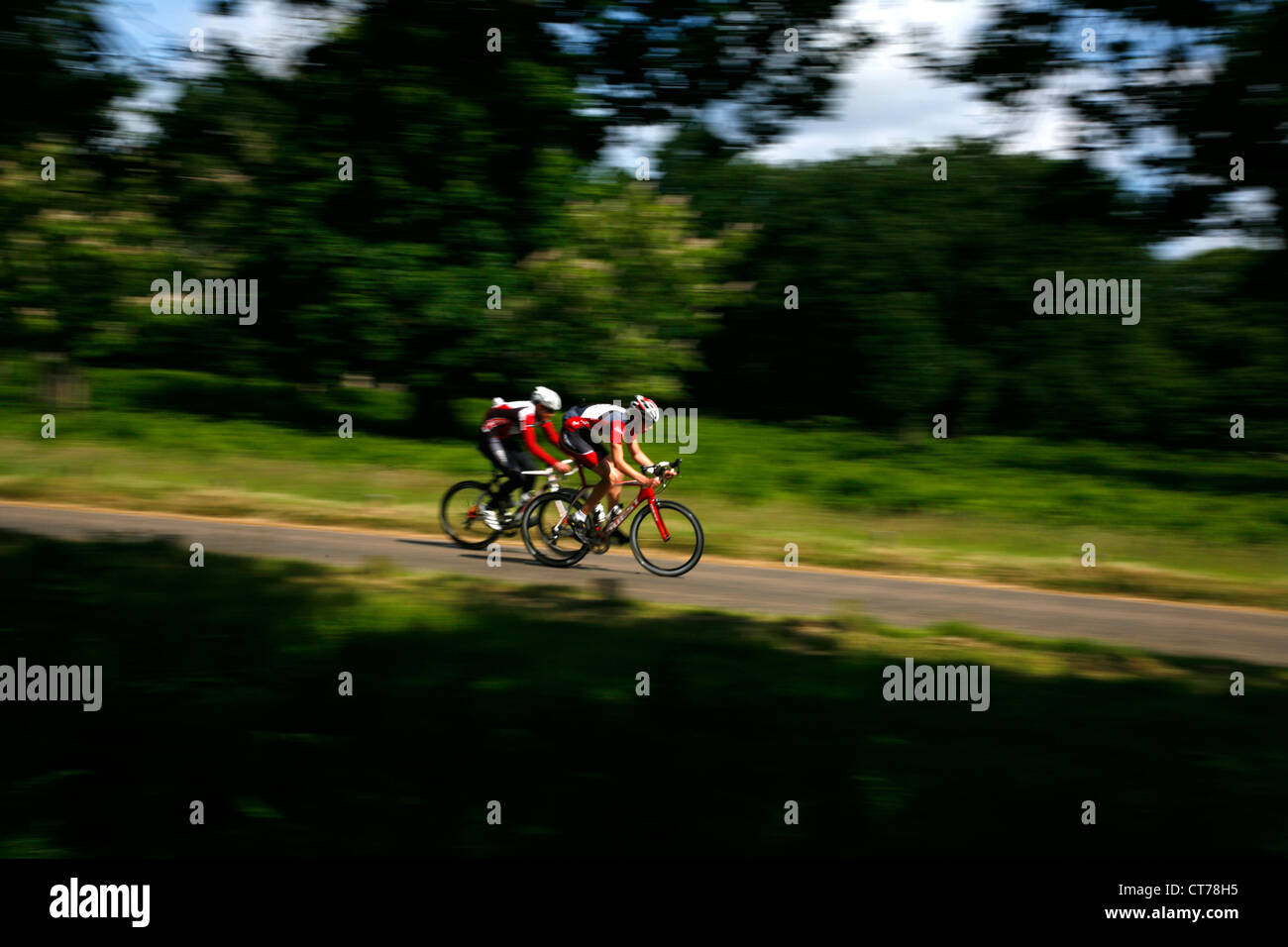 Radfahrer, die Rennen durch Richmond Park, London, UK Stockfoto