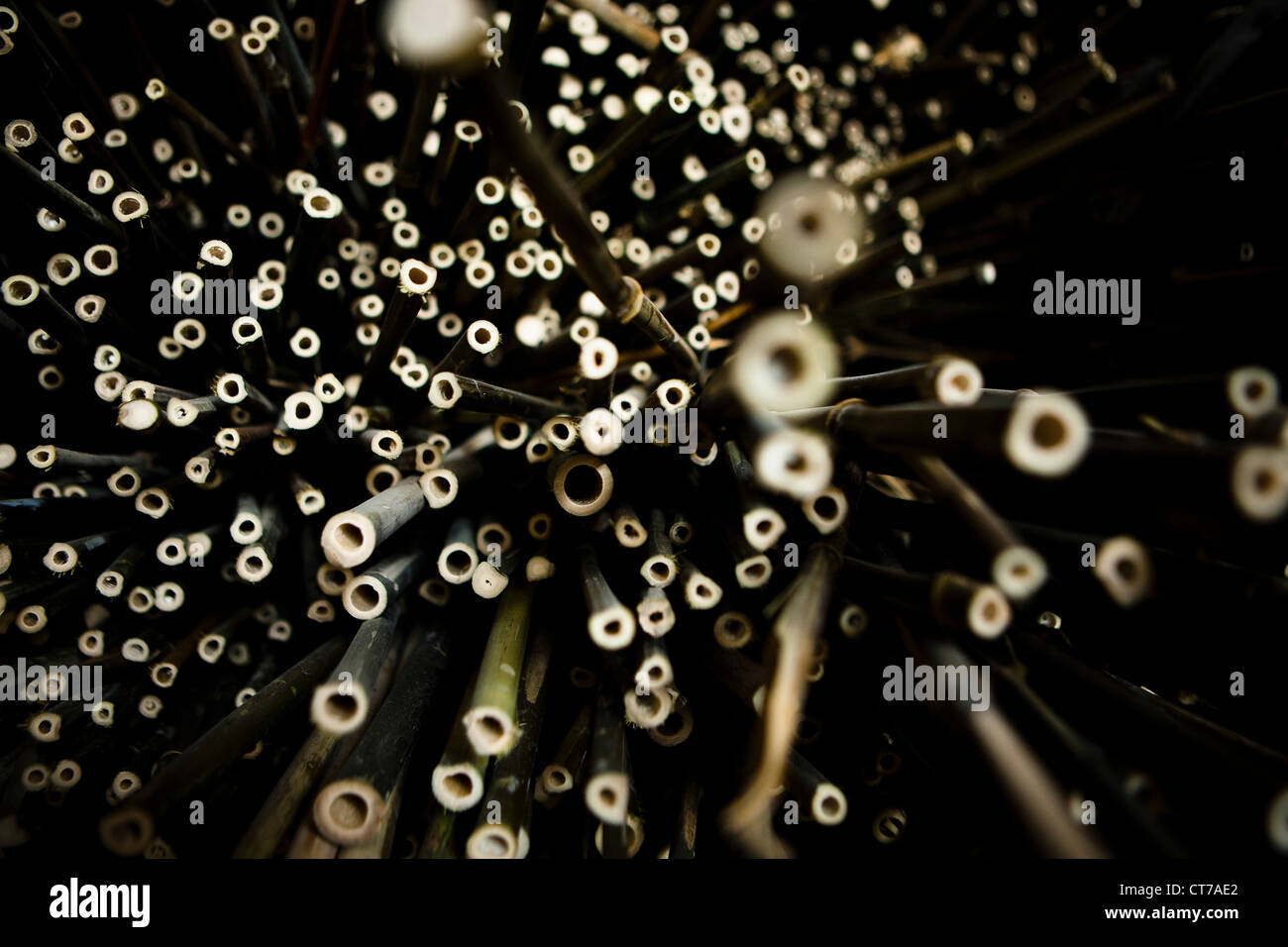 Bambusholz, abstrakte Stockfoto