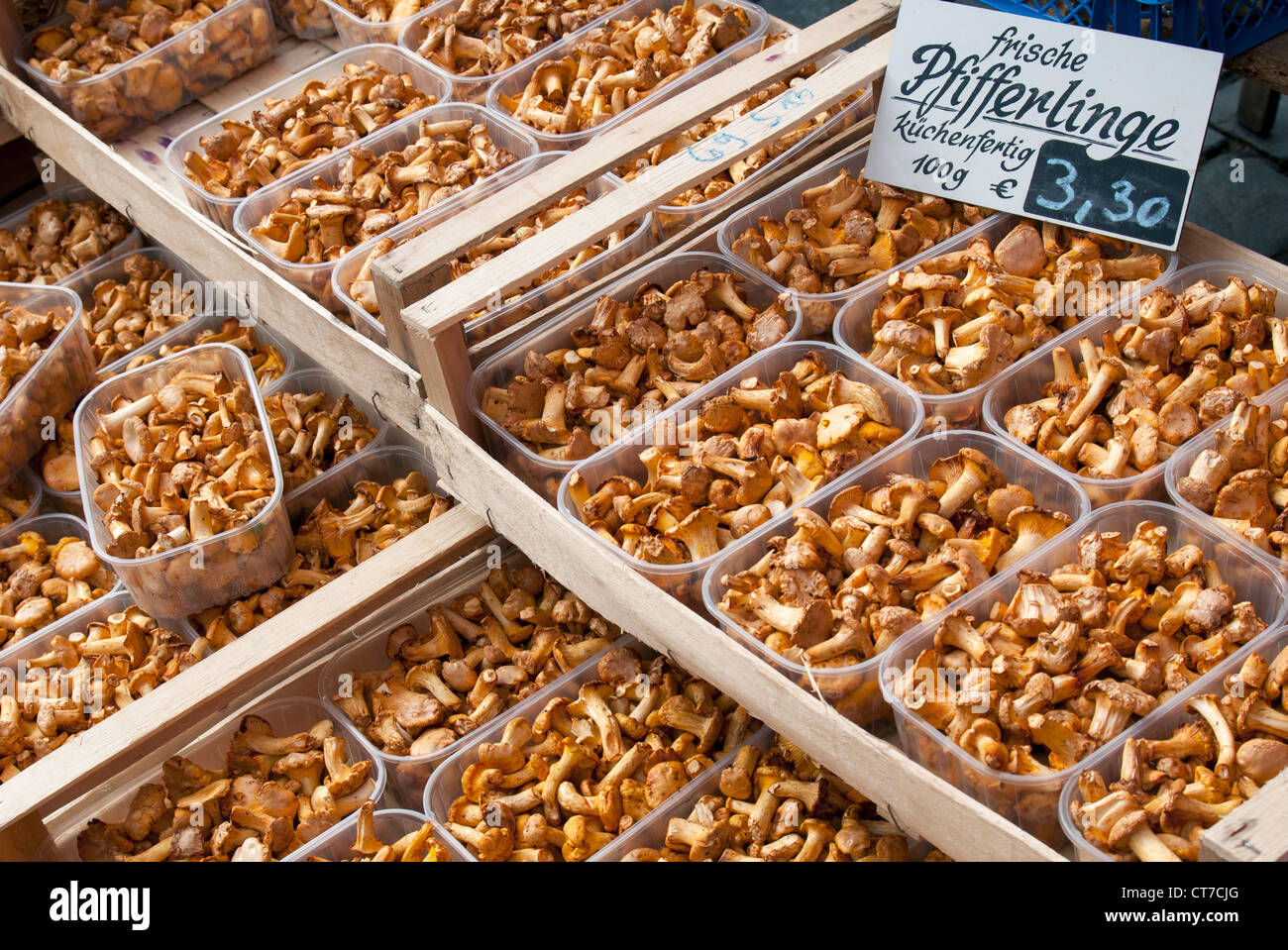 Frische Pfifferlinge (Pfifferlinge, Eierschwämmen Cibarius) auf Verkauf im Hauptmarkt (Hauptmarkt), Nürnberg, Bayern, Deutschland Stockfoto