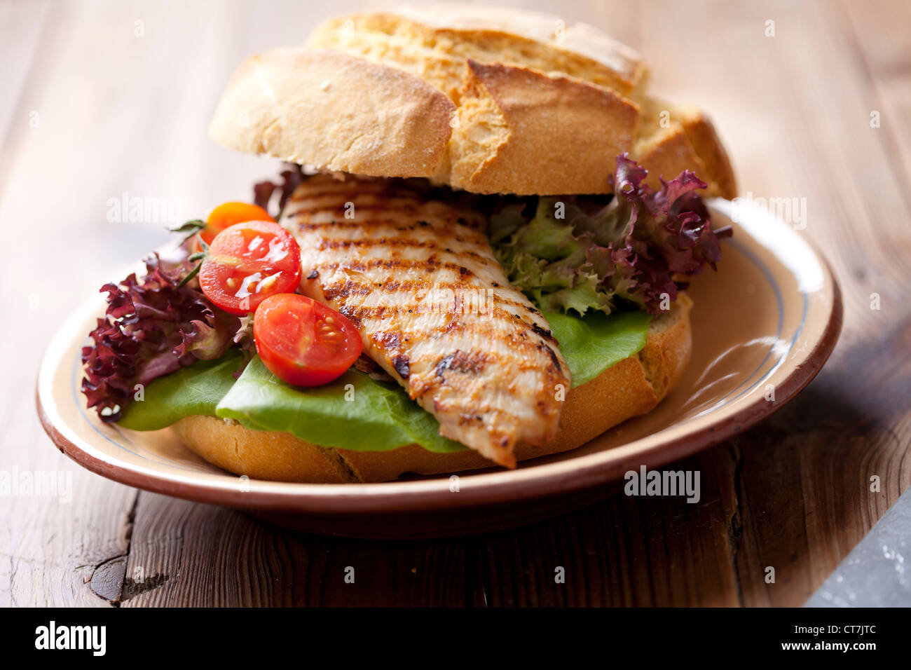 Gourmet-Hähnchen-sandwich Stockfoto