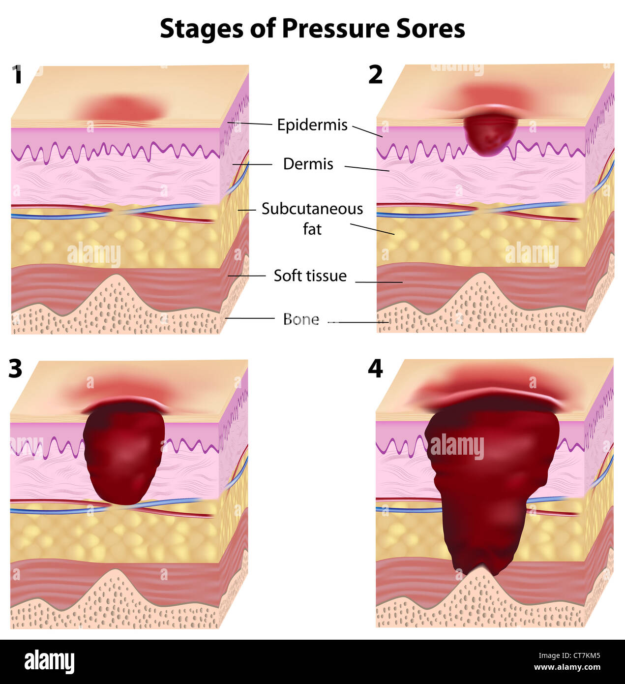 Pin Von Auf Beruf Krankenschwestern Studieren Und Berufe