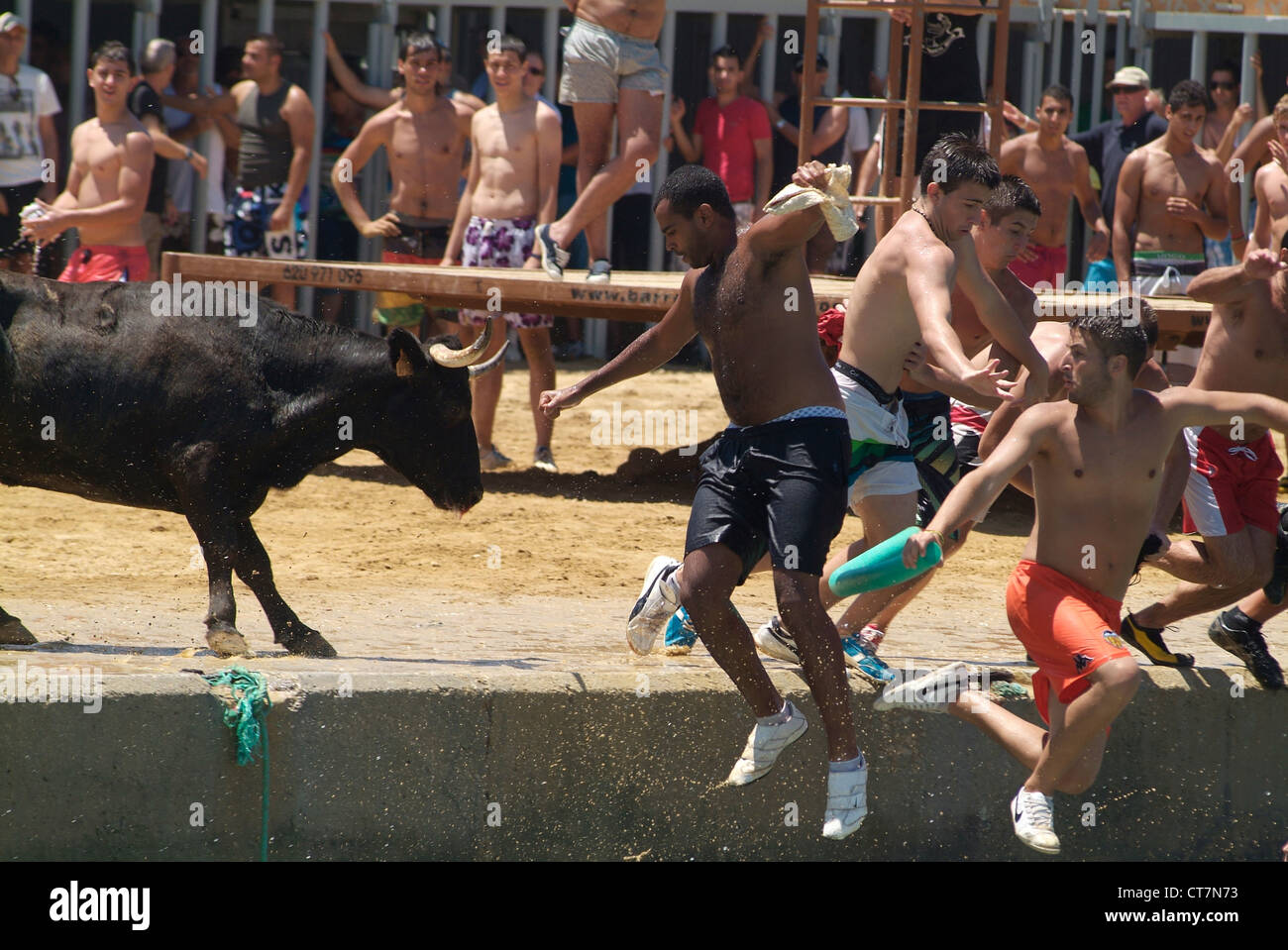 Die Toreros Bous a la Mar springen ins Wasser, Denia, Alicante, Spanien, Europa Stockfoto