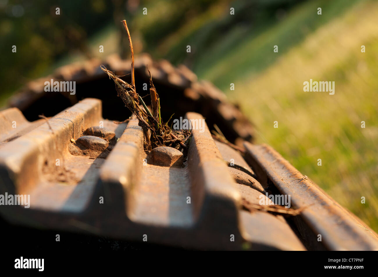 Detail der nachverfolgten Bagger arbeiten an Bereich Entwässerung Verbesserungen an Bodenqualität für Weidevieh zu erhöhen Stockfoto