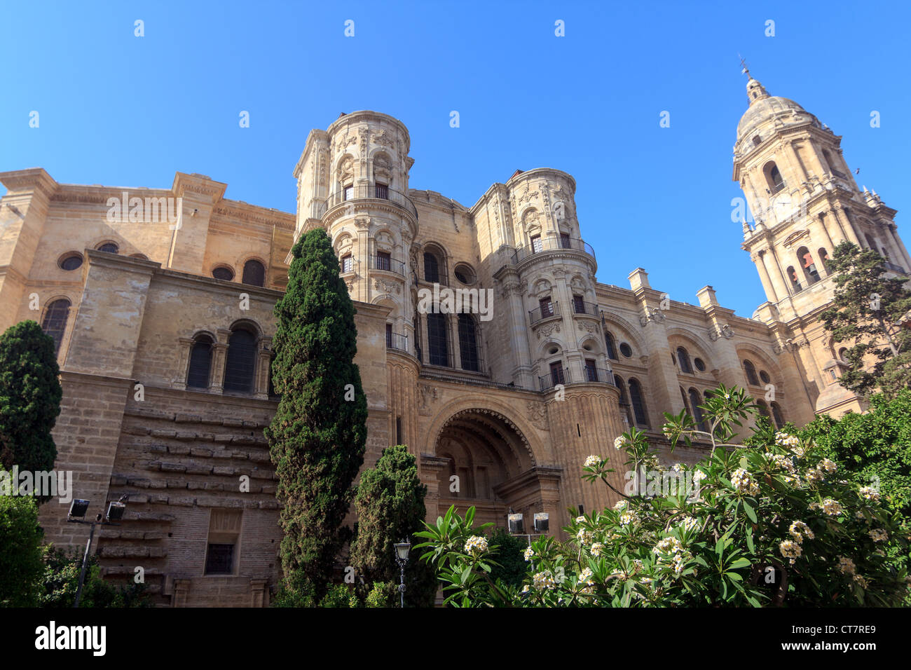 Kathedrale von Málaga in Andalusien, Südspanien. Stockfoto