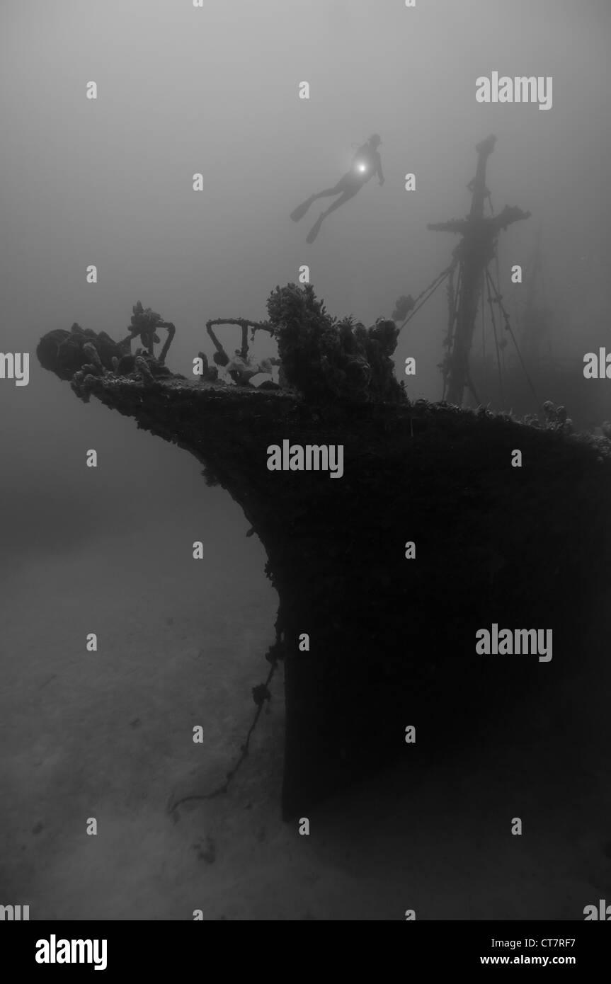 Taucher erkunden Schiffbruch. B&W Stockfoto