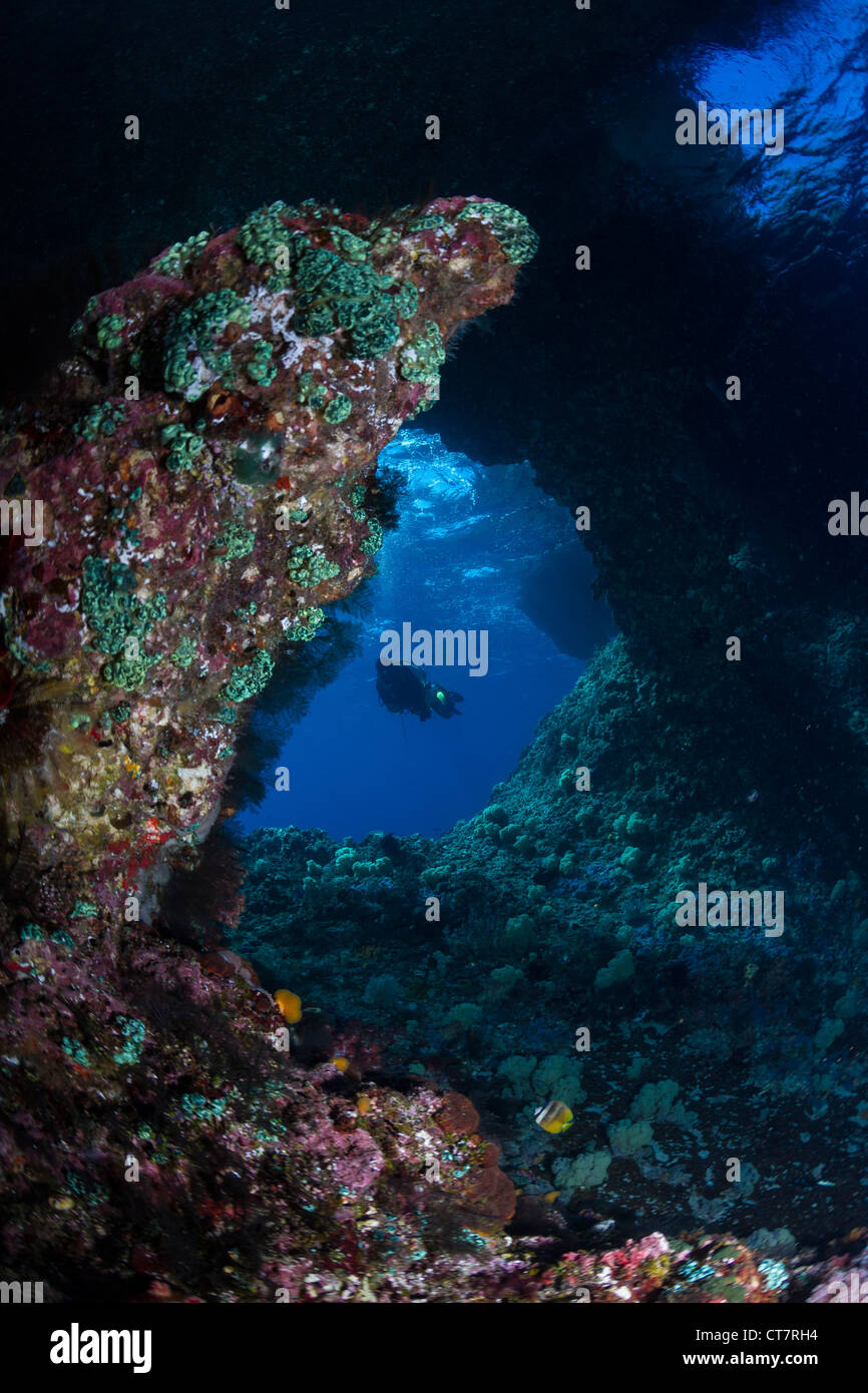 Taucher im Boo Windows in Raja Ampat, Indonesien Stockfoto