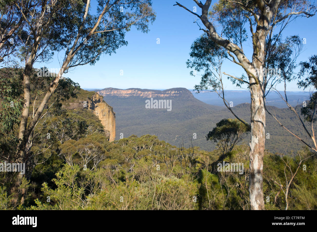 Blue Mountains, New South Wales, Australien Stockfoto