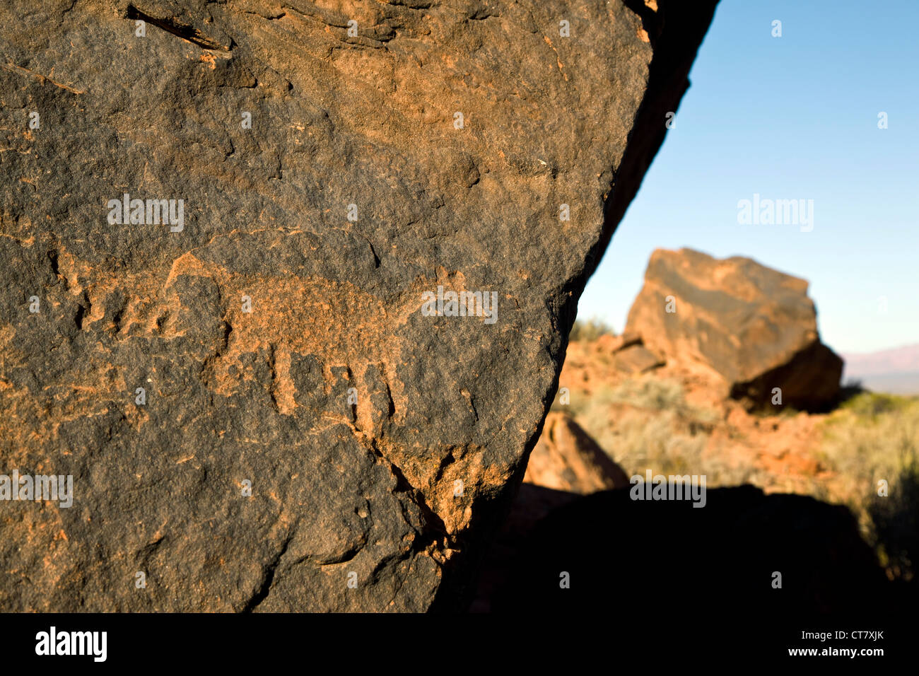 Petroglyphen oder Felszeichnungen Stockfoto