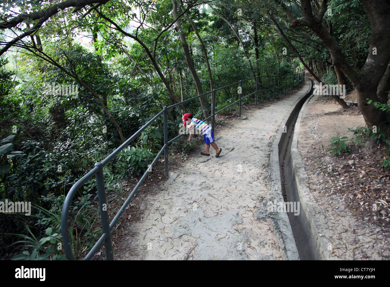 Es ist ein Foto von einem Fußgängerweg oder Weg durch den Wald oder Wald in einen Hügel von Hongkong in China. Es gibt ein Kind Stockfoto