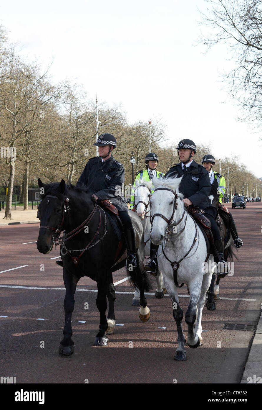 London - Metropolitan Police auf dem Pferderücken in den Dienst Stockfoto