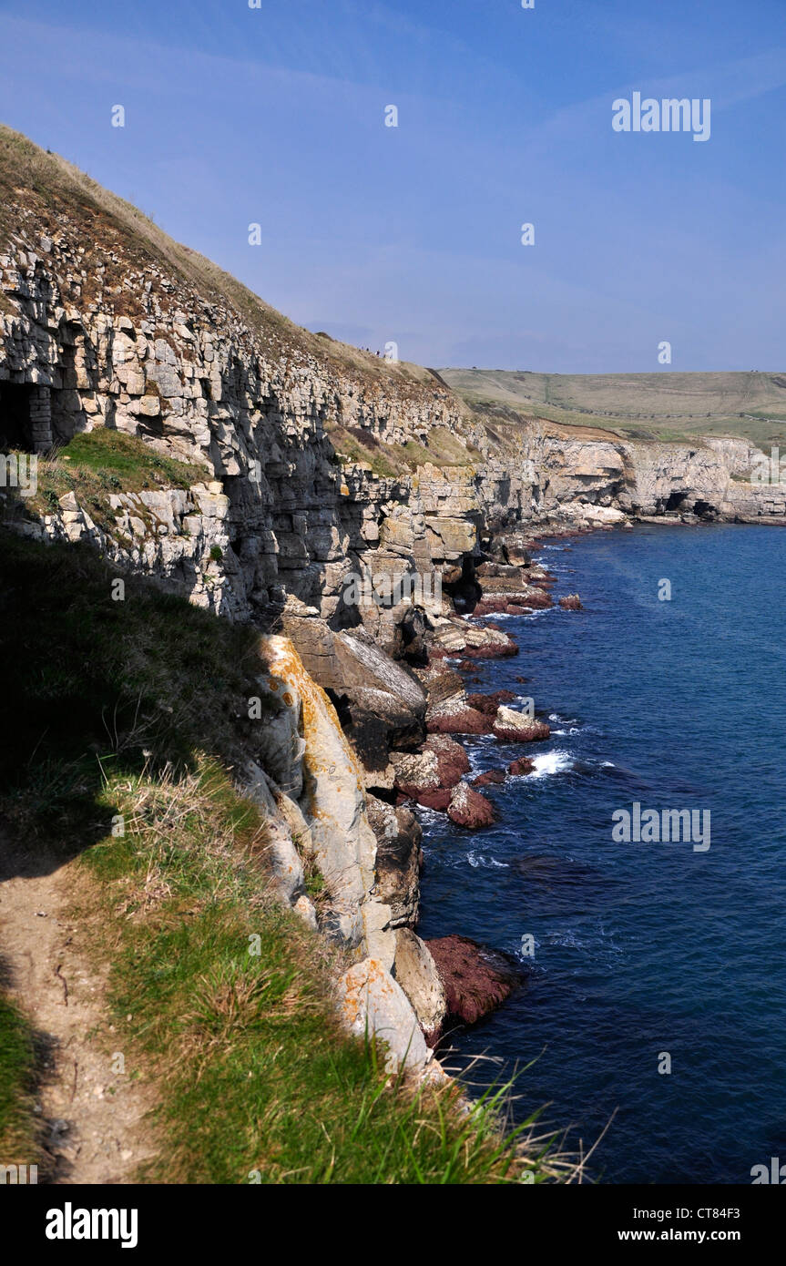 Die Klippen von Seacombe auf der Ost Küste von Dorset UK Stockfoto