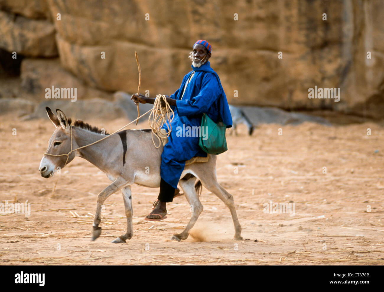 Dogon Landes Mali, Mann in blauen Gewändern einen Esel reiten. Stockfoto