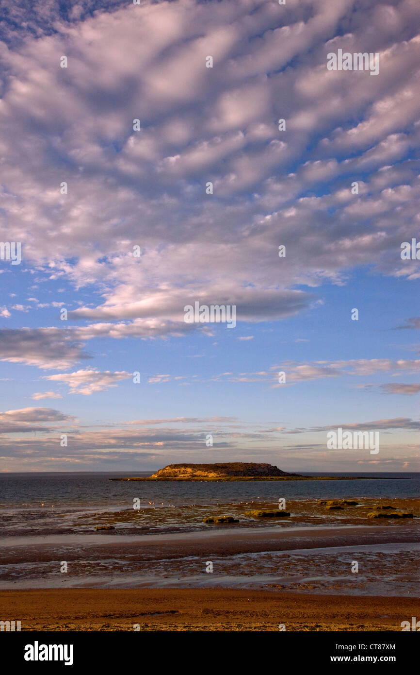 Isla de Los Pájaros im Golfo San José Stockfoto