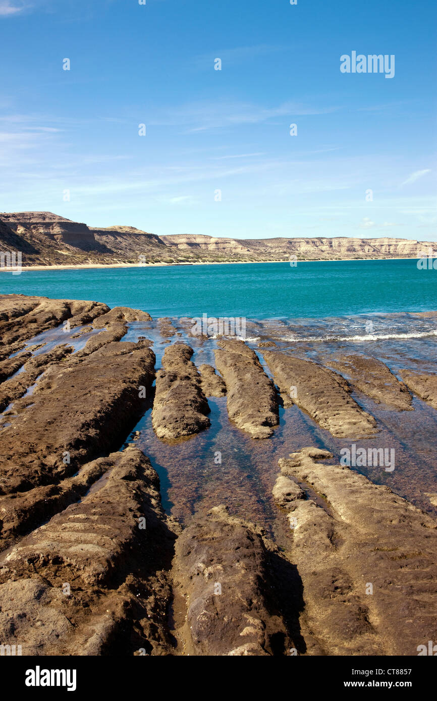 Puerto Piramides Stockfoto