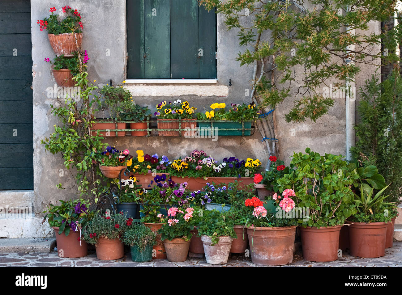 Blumentöpfe vor einem grünen Haus auf der Giudecca in Venedig, Italien Stockfoto