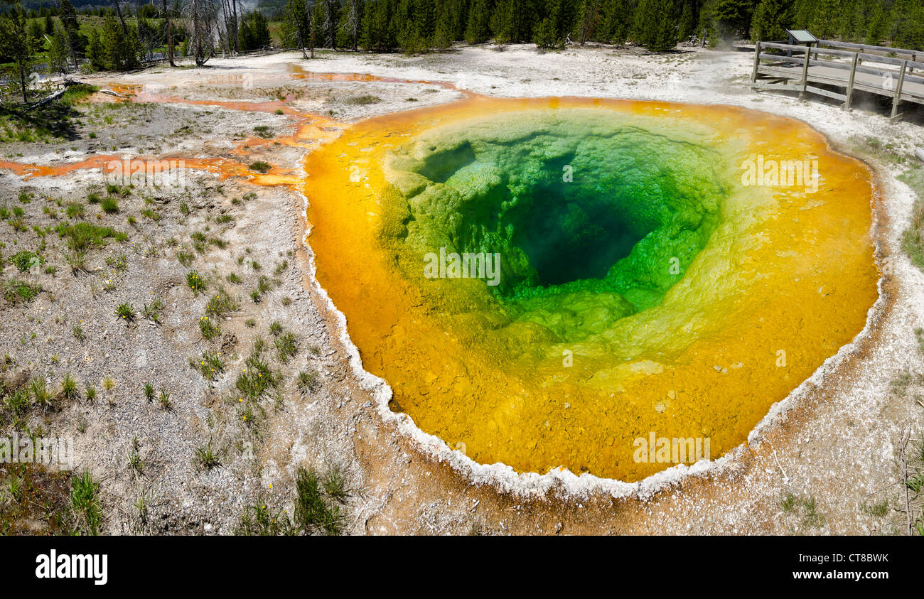 Morning Glory Pool, farbige Pfütze mit warmem Wasser im Bereich der Geysir im Yellowstone Stockfoto