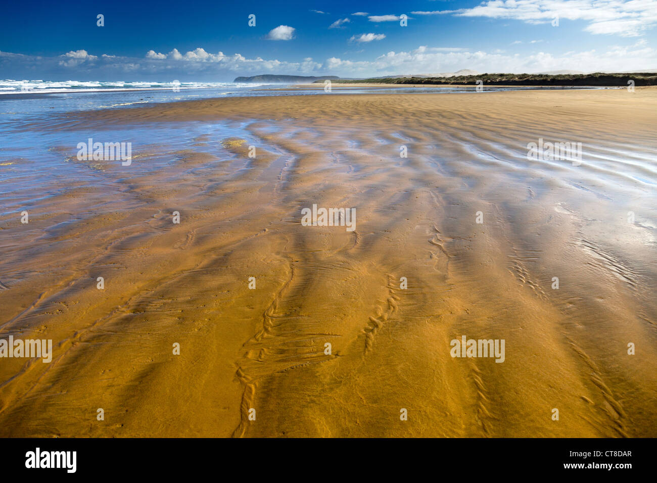 90 Mile Beach 2, Neuseeland Stockfoto