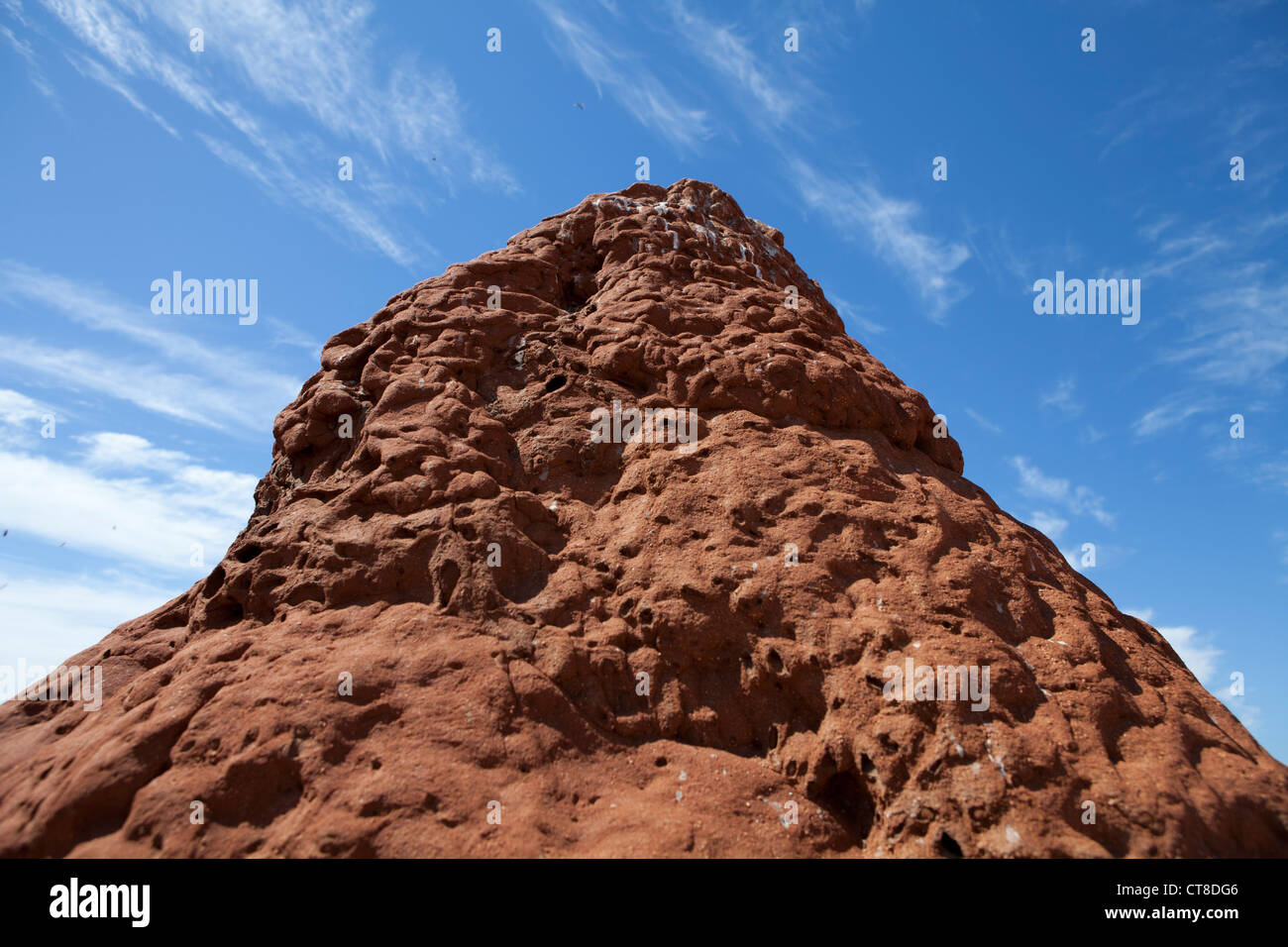 Eine Termite Hügel im Cape Range National Park in Westaustralien. Stockfoto