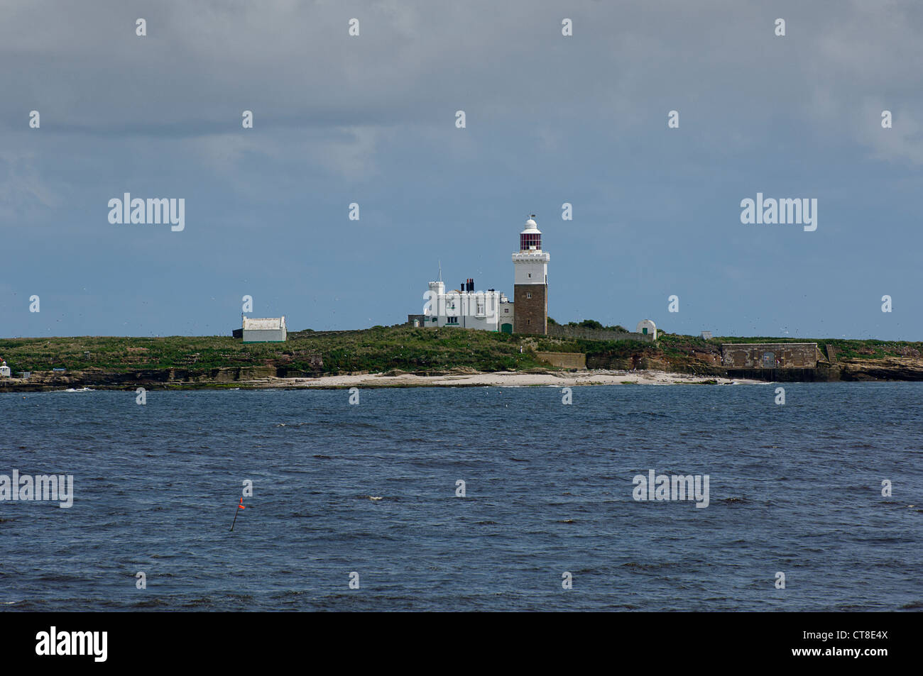 Coquet Island Stockfoto